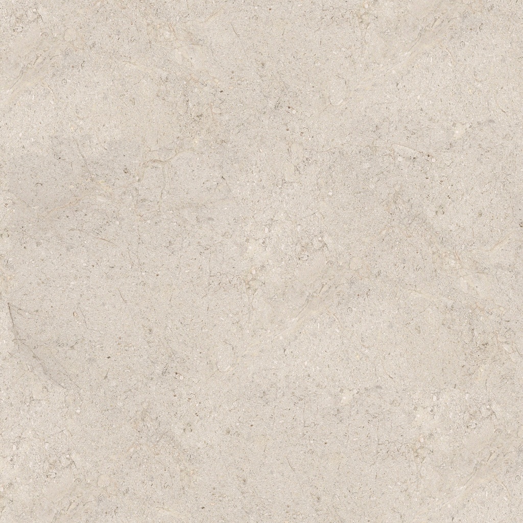DORCIA BONE L 120X120(A)